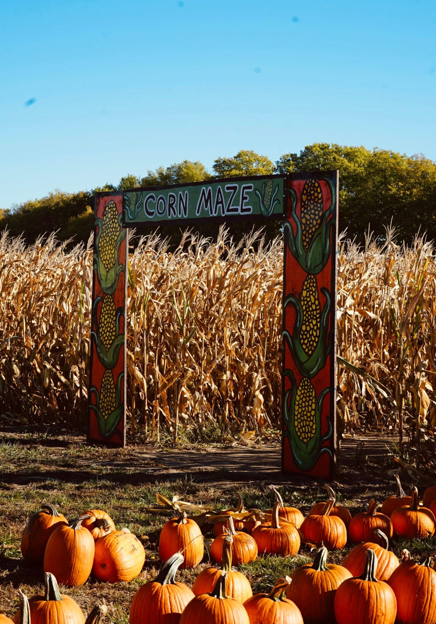 Best Corn Mazes Around Pensacola