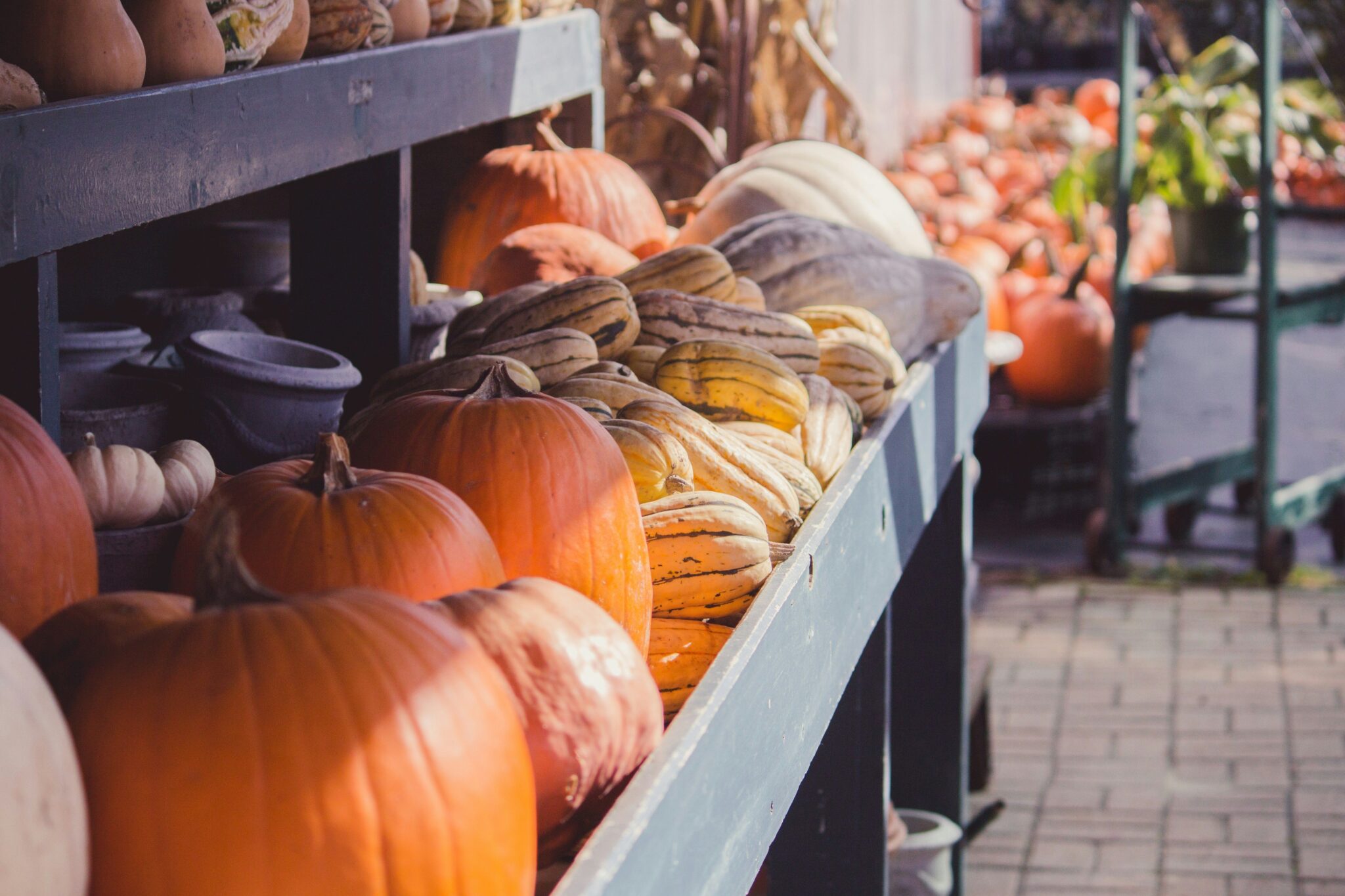 Pensacola October Events 2025